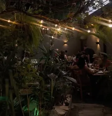 Quintal à noite com luzes entre as plantas